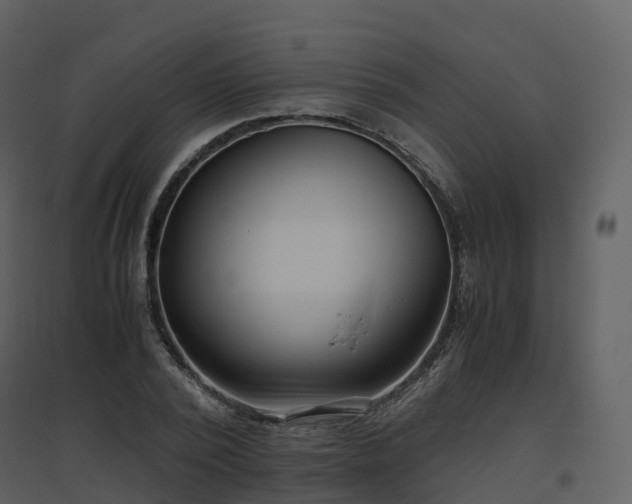 X0000096640784200802121109
