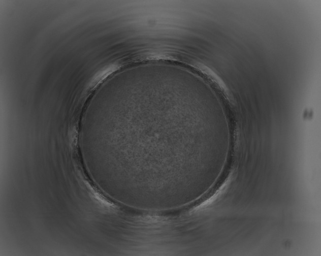 X0000096640785200802121109