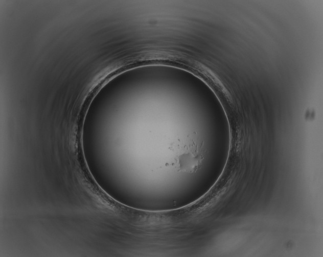 X0000096640786200802121109