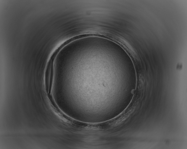 X0000096640788200802121109