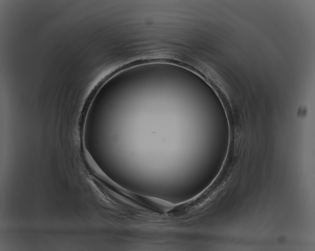 X0000096640789200802121109