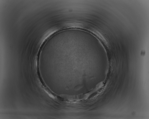 X0000096640790200802121109