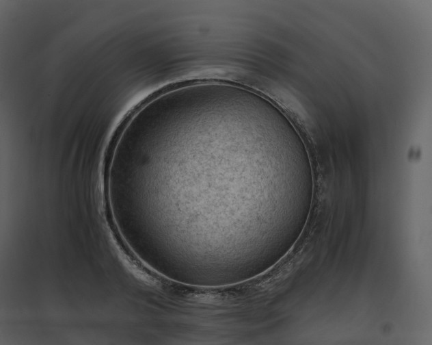 X0000096640792200802121109