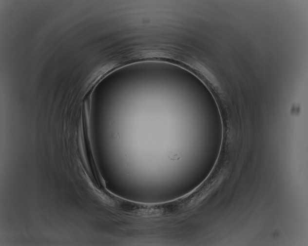 X0000096640793200802121109
