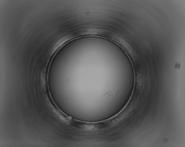 X0000096640794200802121109