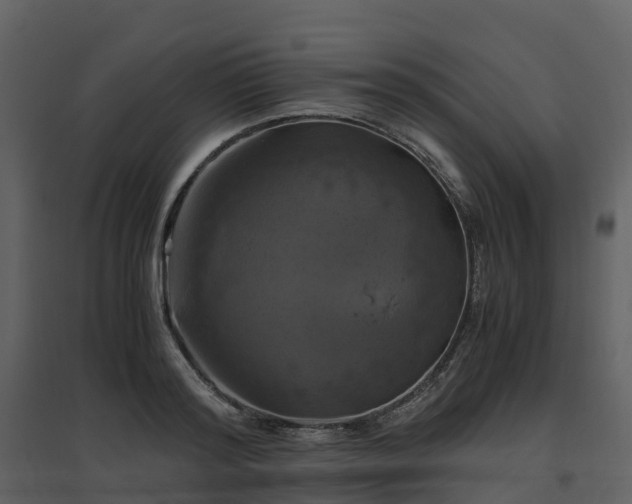 X0000096640796200802121109