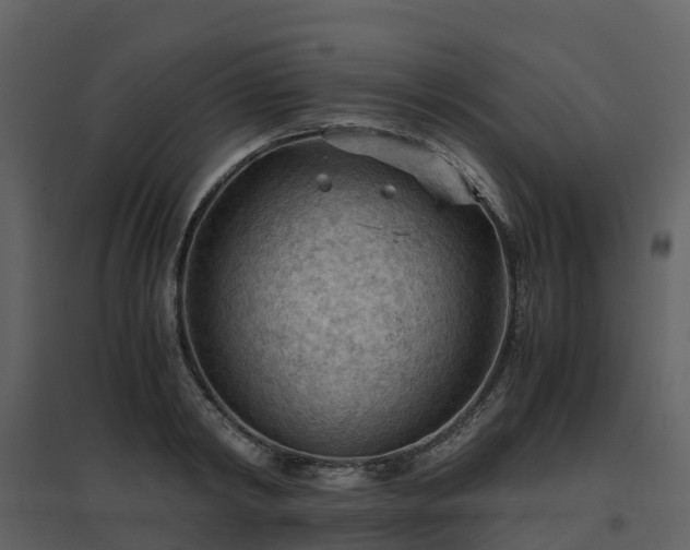 X0000096640798200802121109