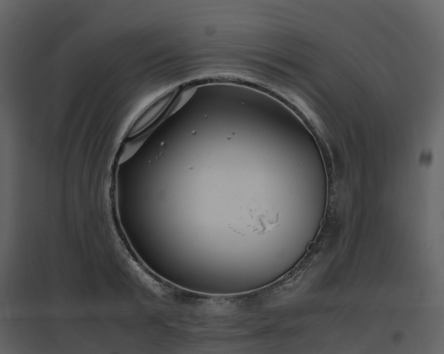 X0000096640799200802121109