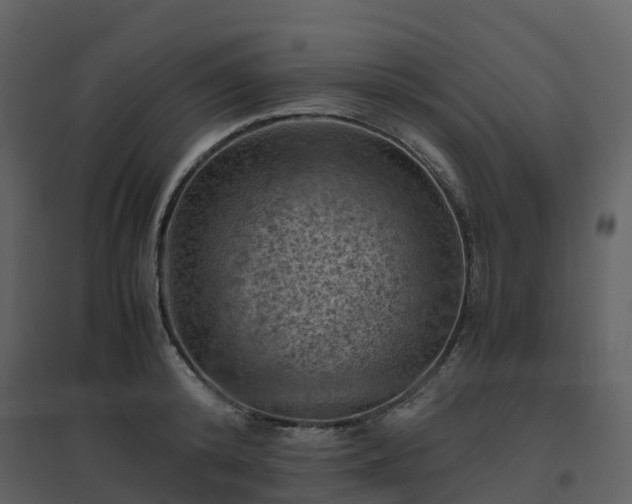 X0000096640800200802121109