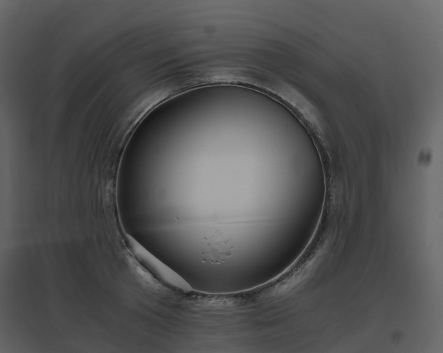 X0000096640801200802121109