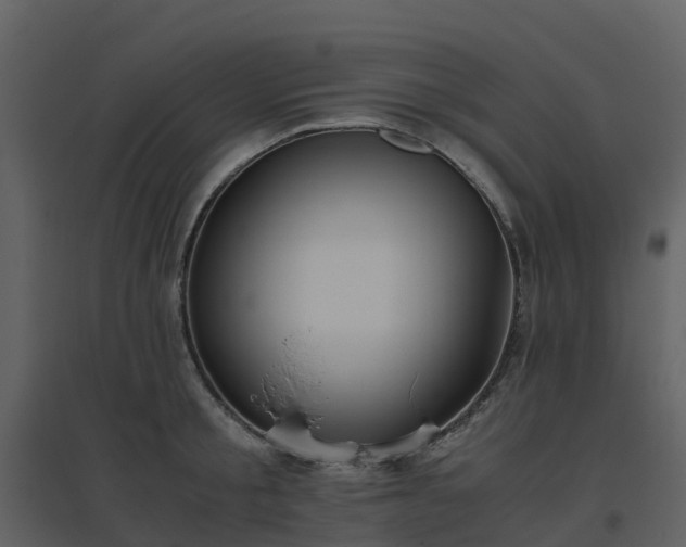 X0000096640805200802121109