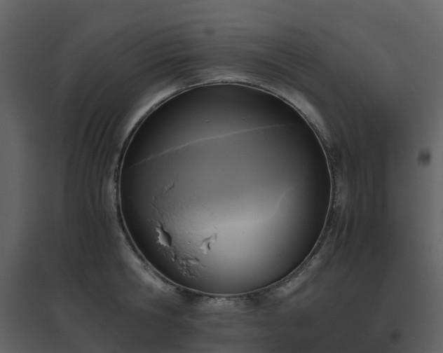 X0000096640806200802121109
