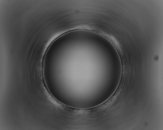 X0000096640808200802121108