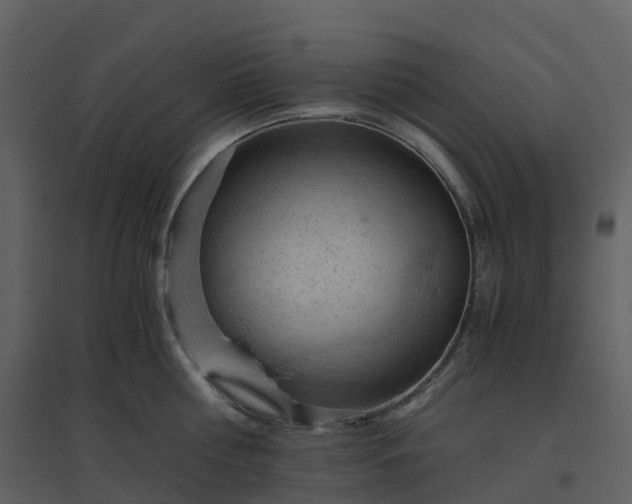 X0000096640810200802121108