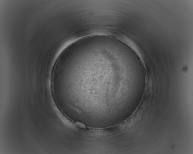 X0000096640811200802121108