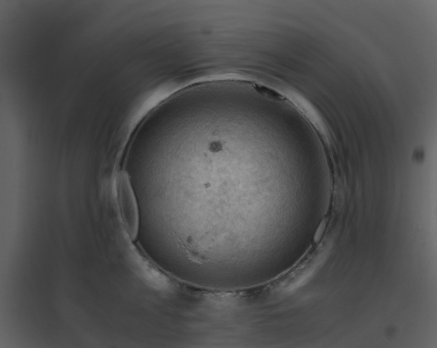 X0000096640813200802121108