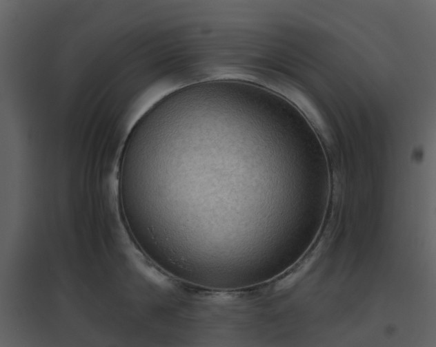X0000096640814200802121108