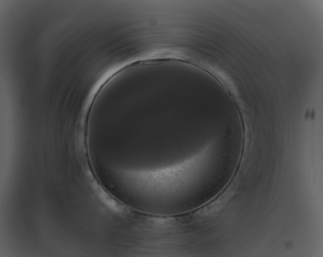 X0000096640816200802121108