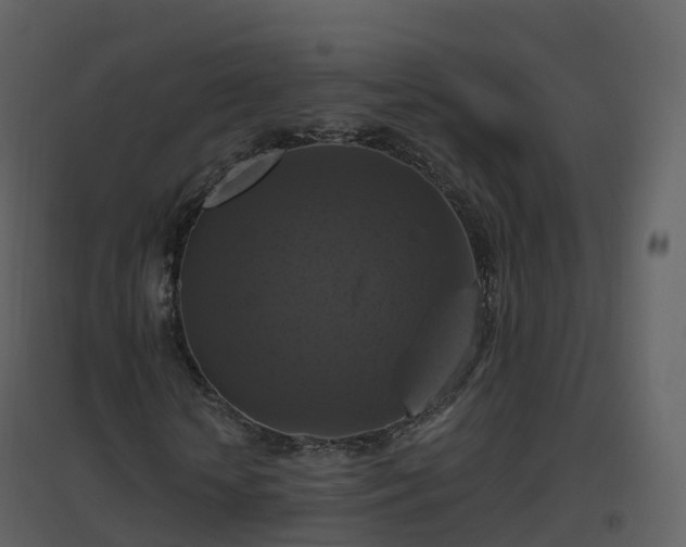 X0000096640818200802121108