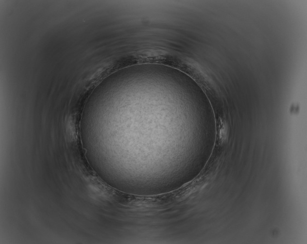 X0000096640819200802121108
