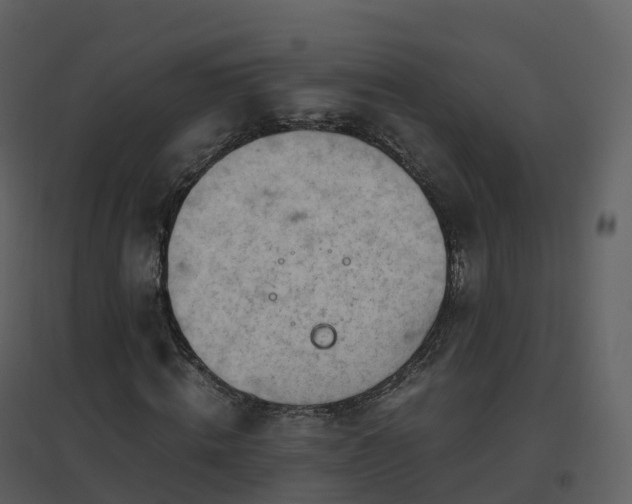 X0000096640820200802121108