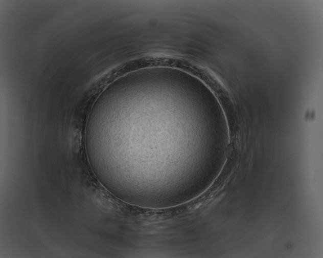 X0000096640821200802121108