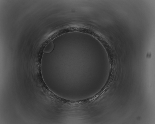 X0000096640822200802121108