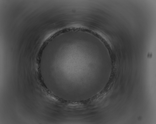 X0000096640823200802121108