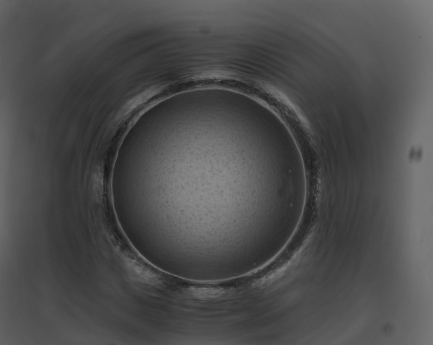 X0000096640825200802121108