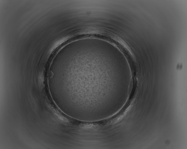 X0000096640826200802121108