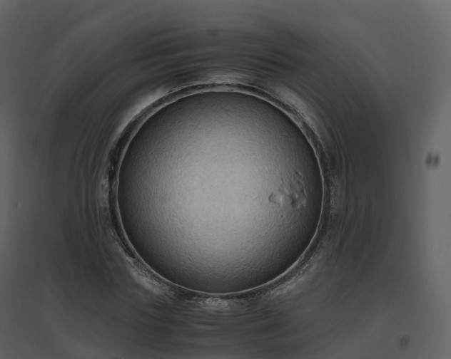 X0000096640827200802121108