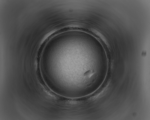 X0000096640829200802121108