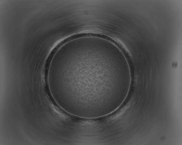 X0000096640830200802121108