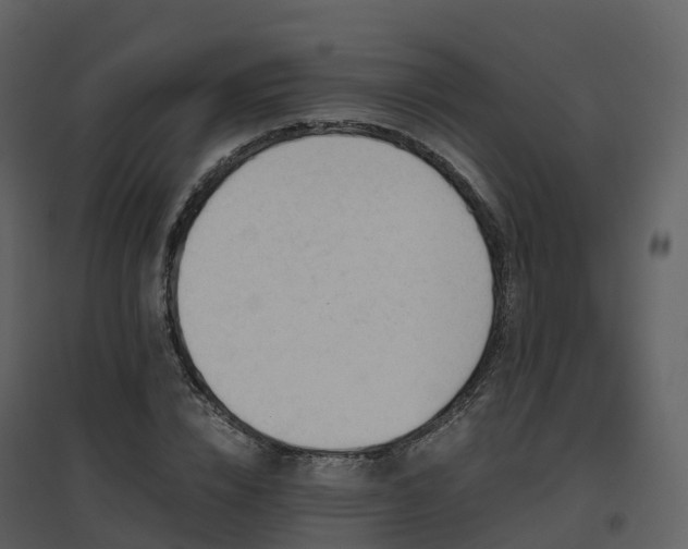 X0000096640832200802121108