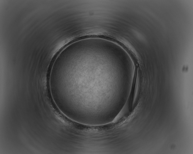 X0000096640834200802121108