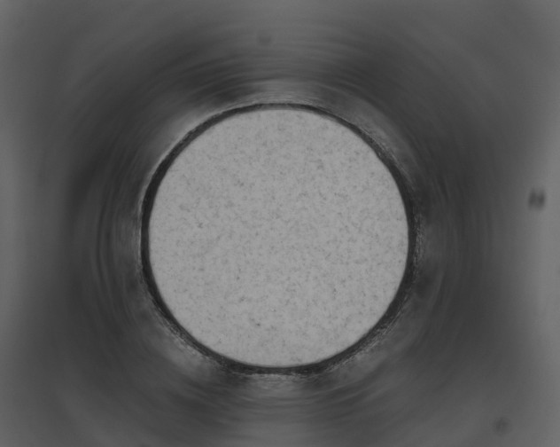 X0000096640836200802121108