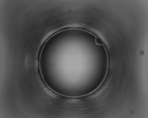 X0000096640837200802121108