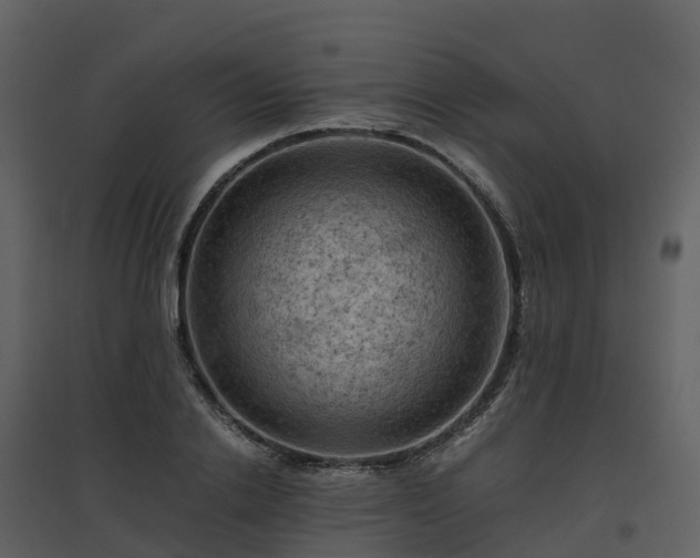 X0000096640838200802121108
