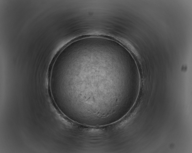 X0000096640839200802121108