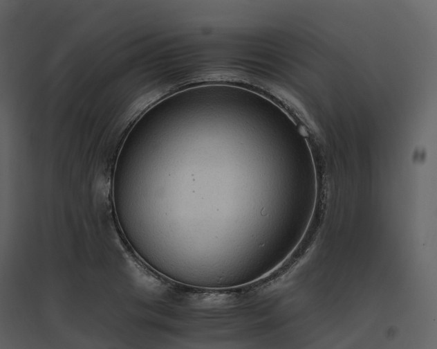 X0000096640841200802121108