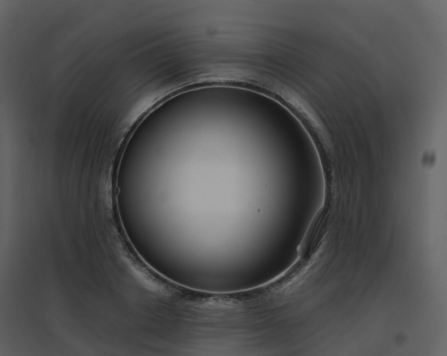 X0000096640842200802121108