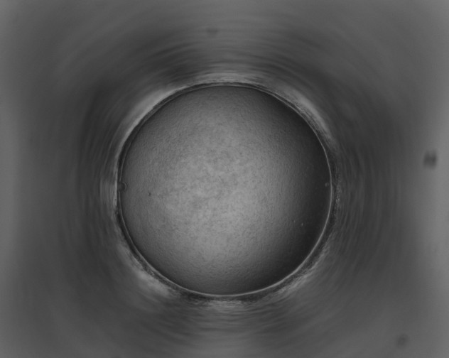 X0000096640844200802121108