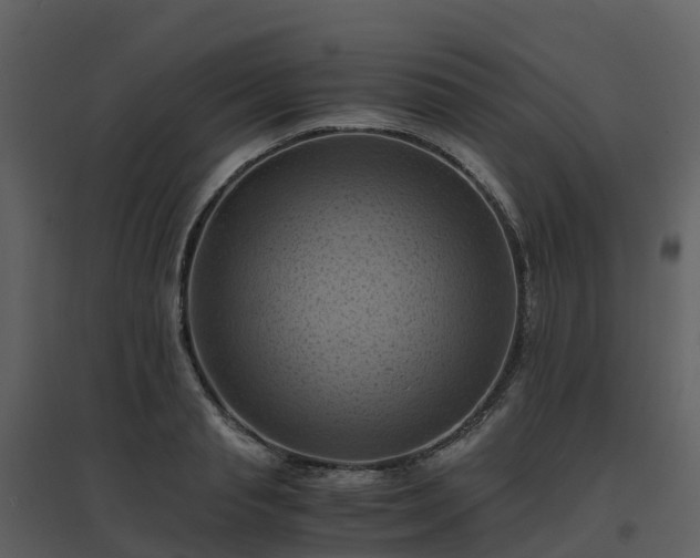 X0000096640845200802121108