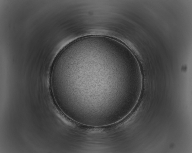 X0000096640846200802121108