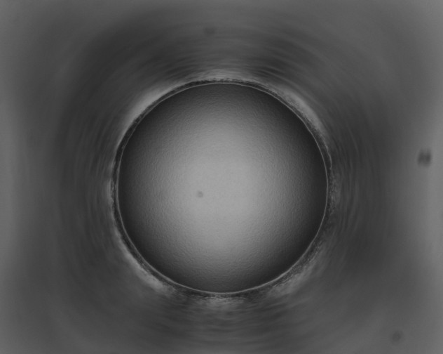 X0000096640847200802121108