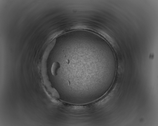 X0000096640849200802121108
