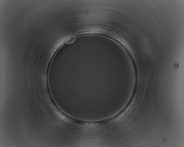 X0000096640850200802121108