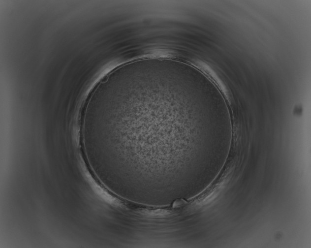 X0000096640851200802121108