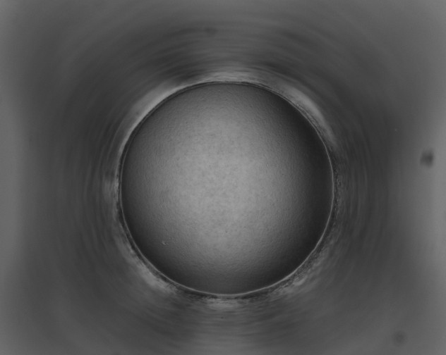 X0000096640852200802121108