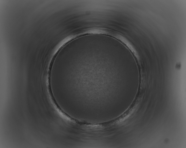 X0000096640853200802121108
